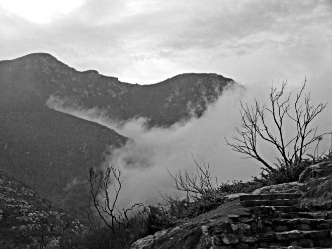 cloud-in-the-outeniqua b&w