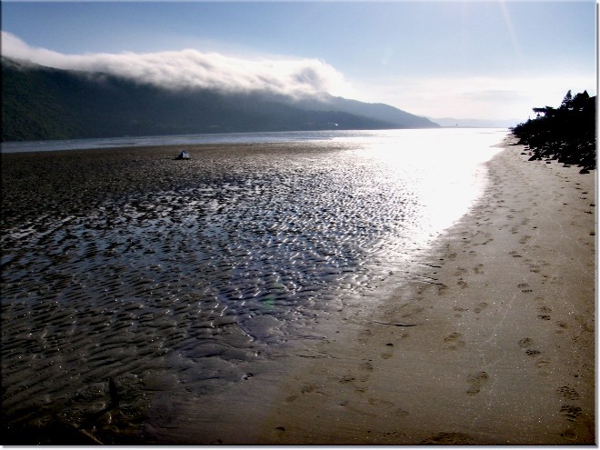 Knysna lagoon tide out