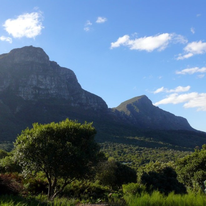 Table Mountain