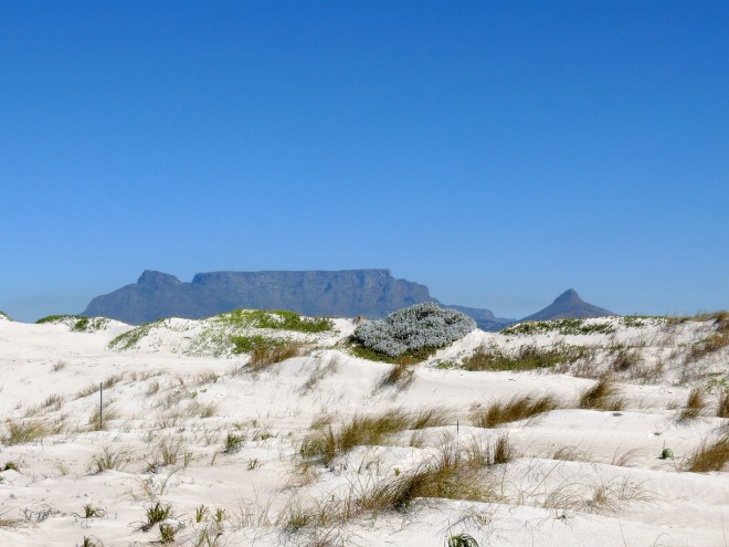 Table Mountain
