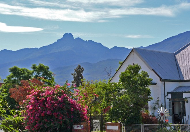 Toverkop-from-Ladismith