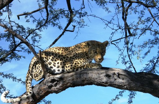 Windhoek Warning: A hard lesson to&nbsp;learn