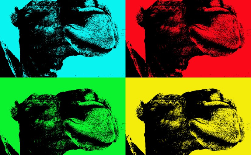 Counting the Cost in&nbsp;Camels