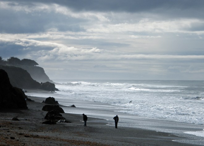 beach combin at moonstone beach copy