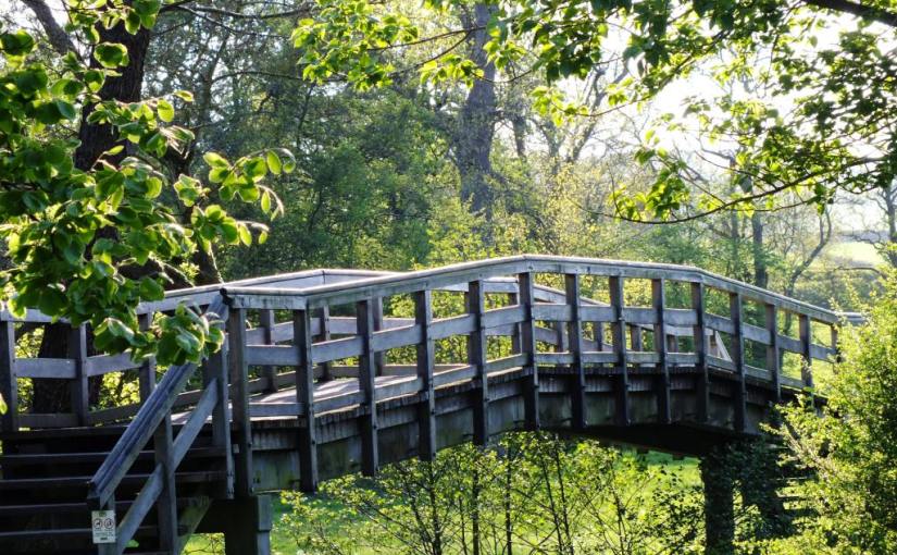 Just Back From… crossing the&nbsp;border