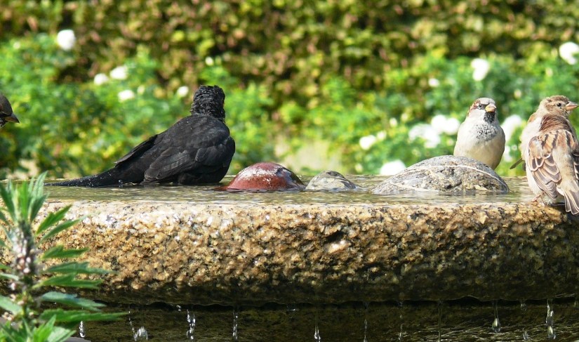 Flashback Friday #20