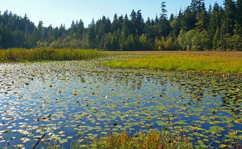 Vancouver: Stanley Park