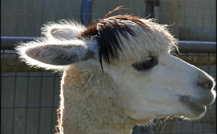 Canadian ‘Riviera’