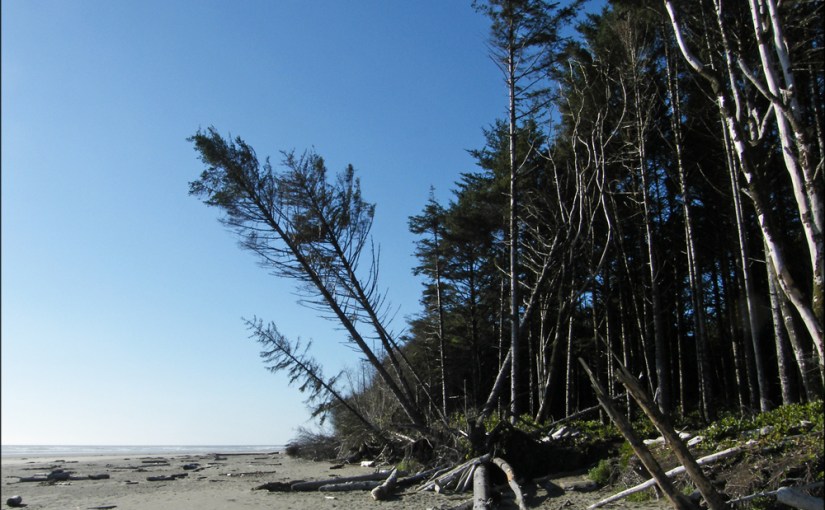 Hikin’ and Surfin’