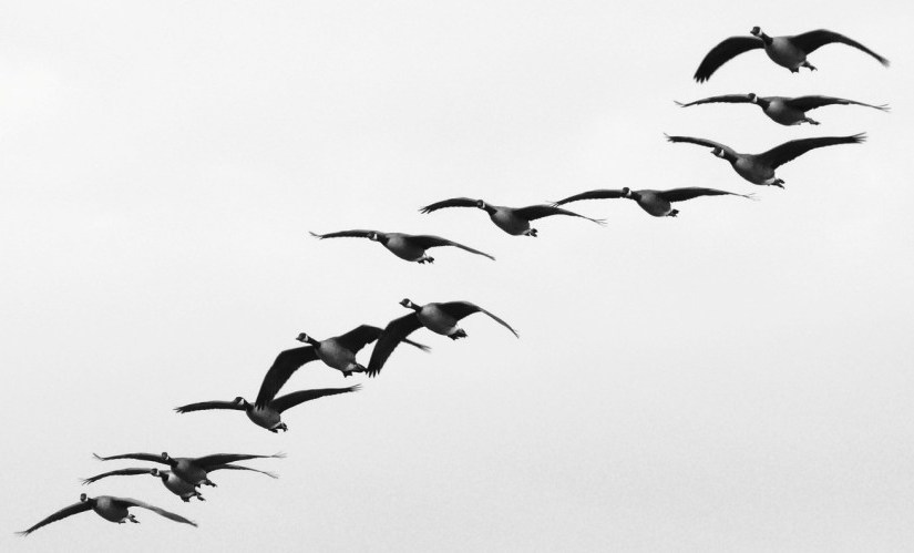 Victoria III: Beacon&nbsp;Hill