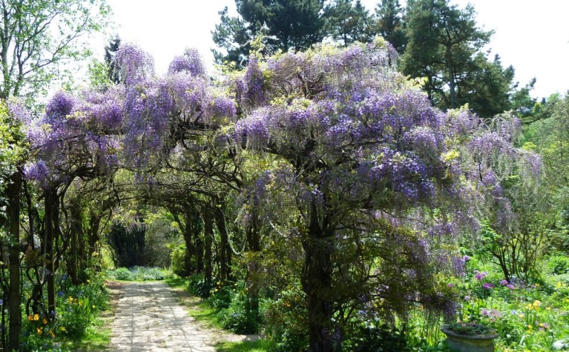 North Devon: Gardens