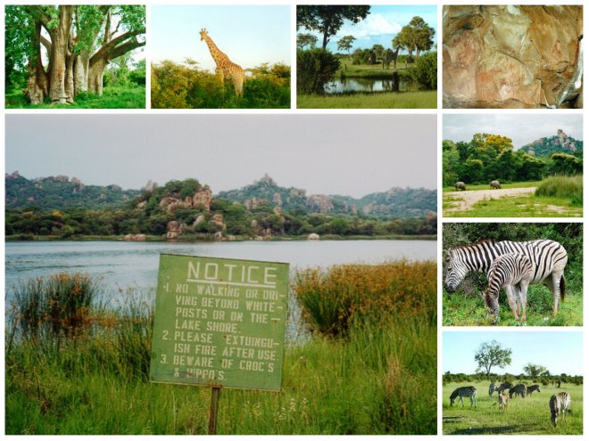 Main: Matobo Hills Sign Clockwise: Baobab Tree; Giraffes in Hwange; White Rhinis in Matobo Hills; Zebra in Hwange