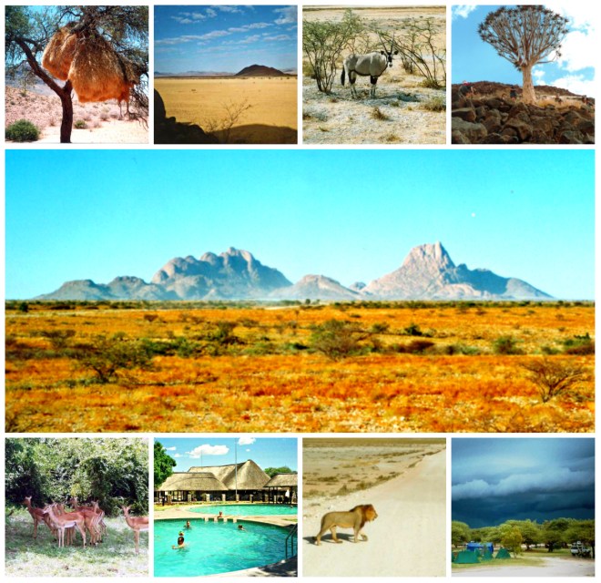 Main: Spitskoppe Top: Social Weaver's Nest, Namib Desert, Oryx, Kokerboom Bottom: Springbok, Etosha Pool, Lion, Etosha Storm