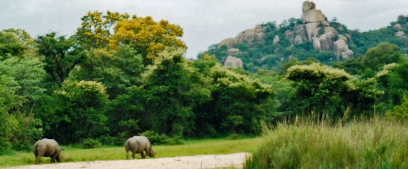 Rocks, Rock Art and Rock Music: Snippets from an African&nbsp;Diary