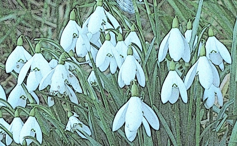 Weekly Photo Challenge:&nbsp;Beginning