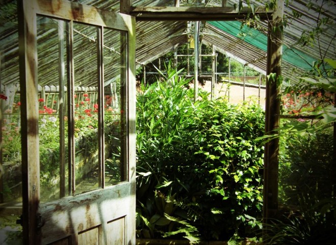 Weston Park Victorian Conservatory