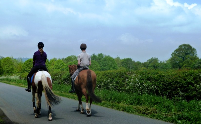 Cee’s Which Way Challenge:&nbsp;Bridleway