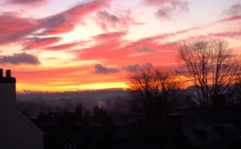 Sunday Stills, the next challenge: Happiness&nbsp;is…