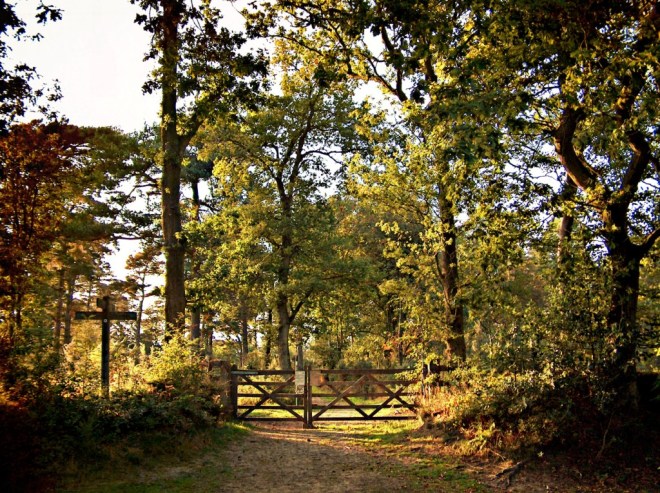 Black Down Ridden Corner