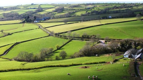 Wales - look carefully for the cows!