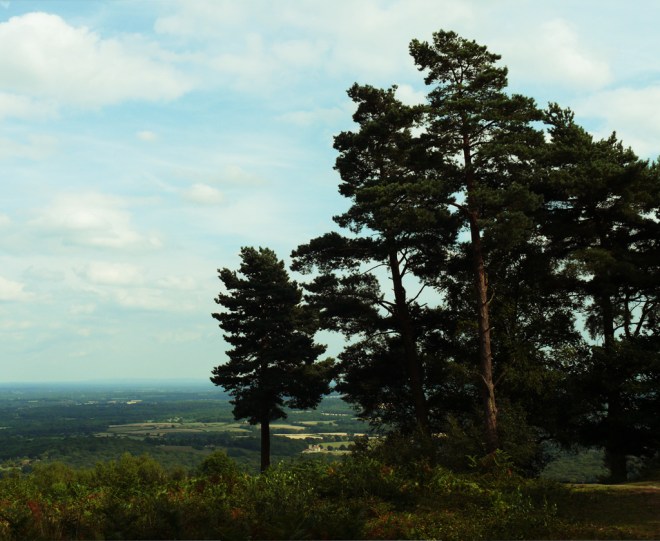 View-from-Temple-of-the-Winds