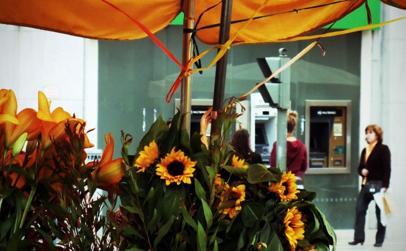 Travel Theme: Amarelo