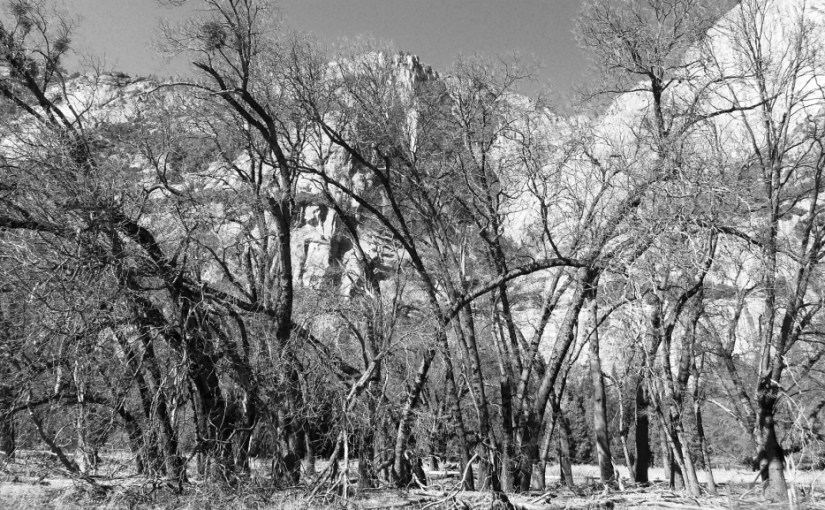 Flashback Friday #11