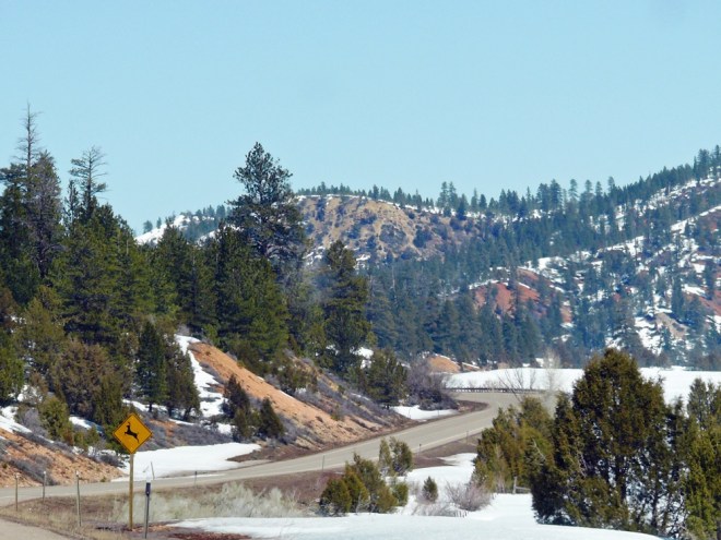 Coral Pink Sand Dunes