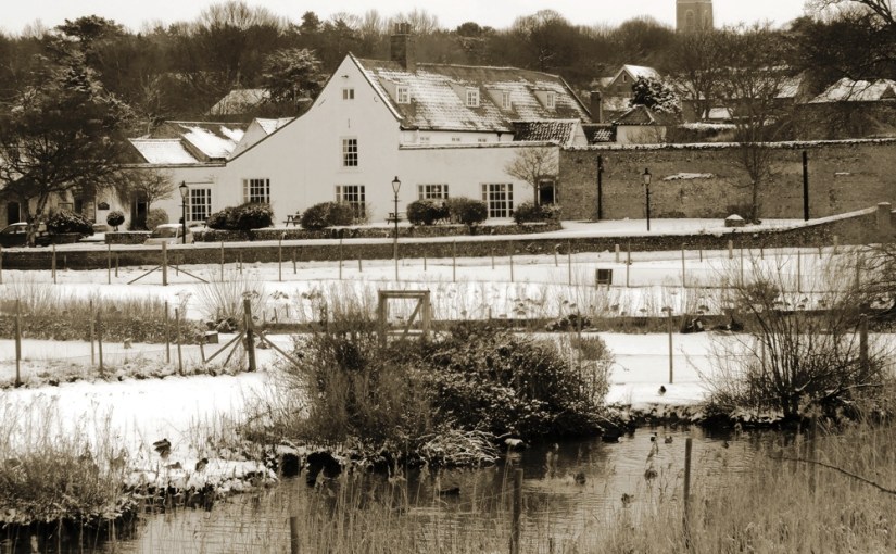 When the world was&nbsp;Brown