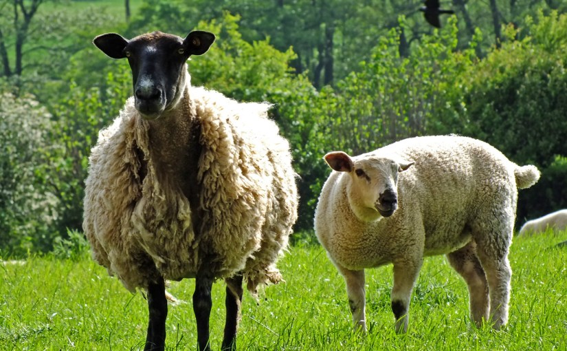 Flashback Friday #23