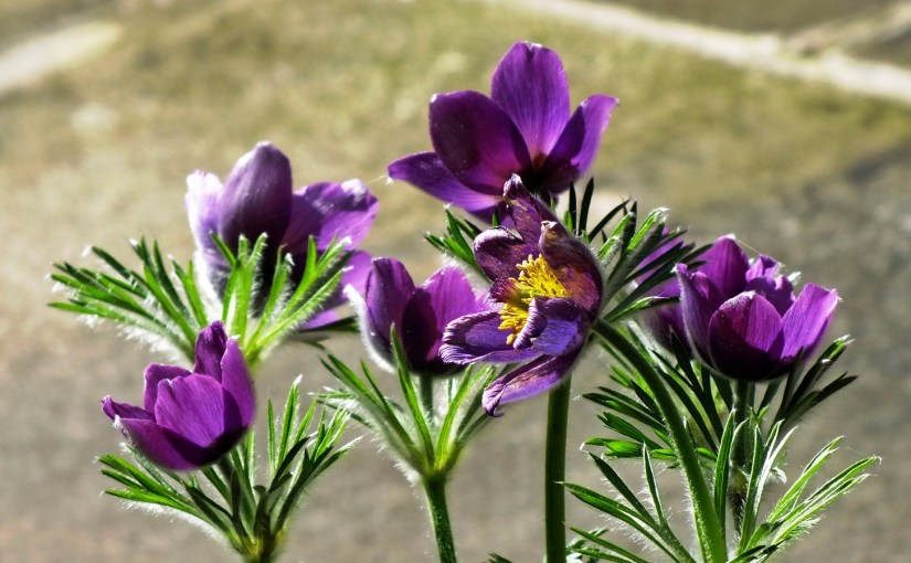 Weekly Photo Challenge: A Work of&nbsp;Art