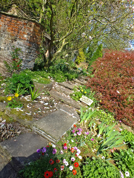 path-in-the-spring-garden