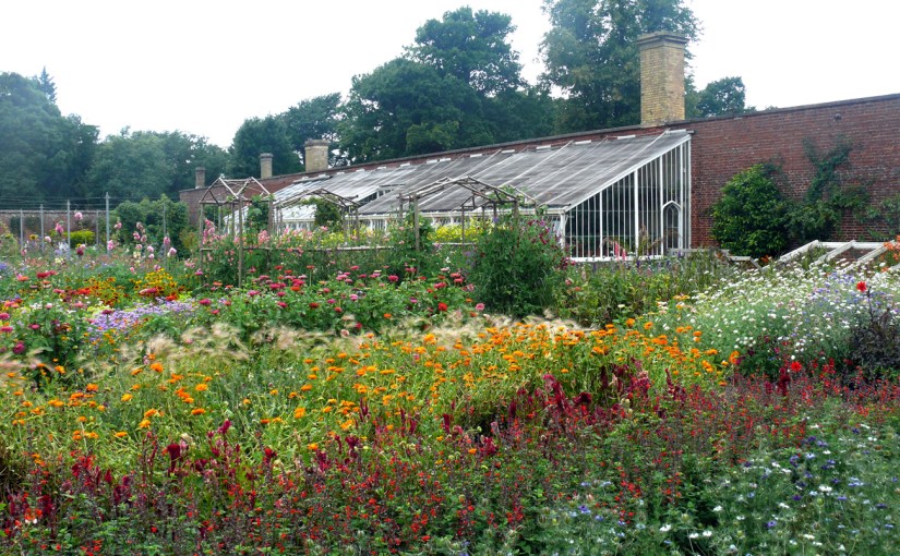 V for Victorian&nbsp;Glasshouses
