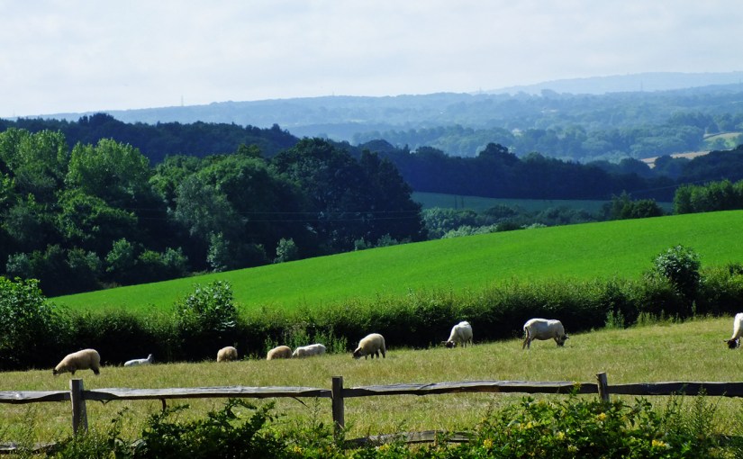 One Day One World Project: 23:00 –&nbsp;Midnight