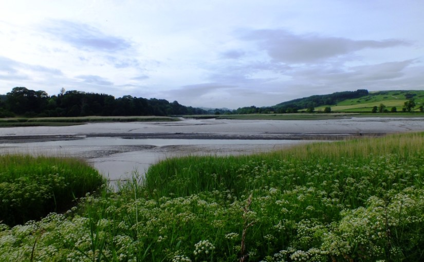 A Walk along the&nbsp;Dee