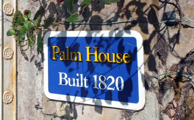 A Regency Palm&nbsp;House