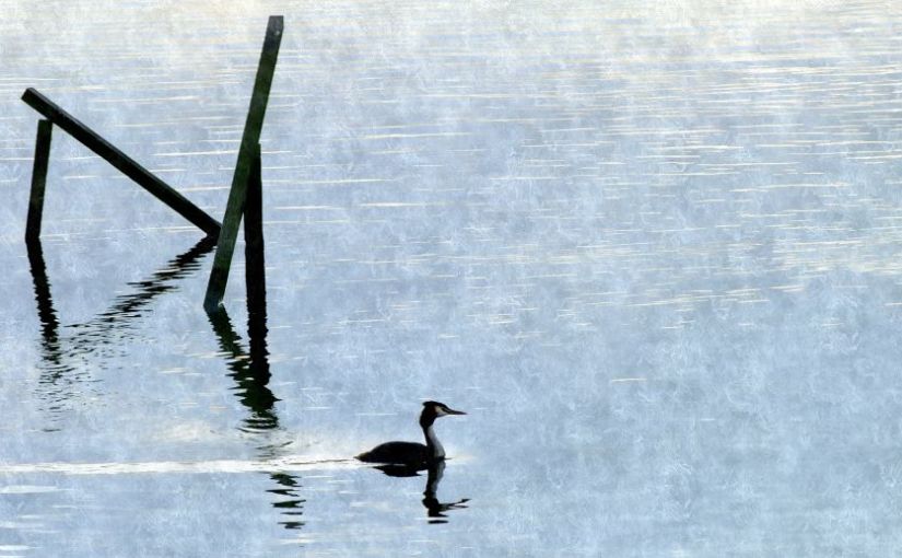 Serenity on the Norfolk&nbsp;Broads