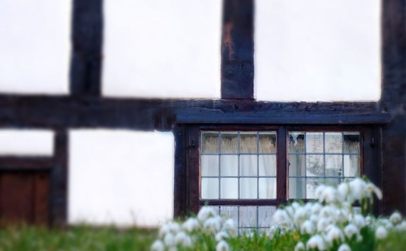 Monthly Photo Challenge: The Changing Seasons&nbsp;#2