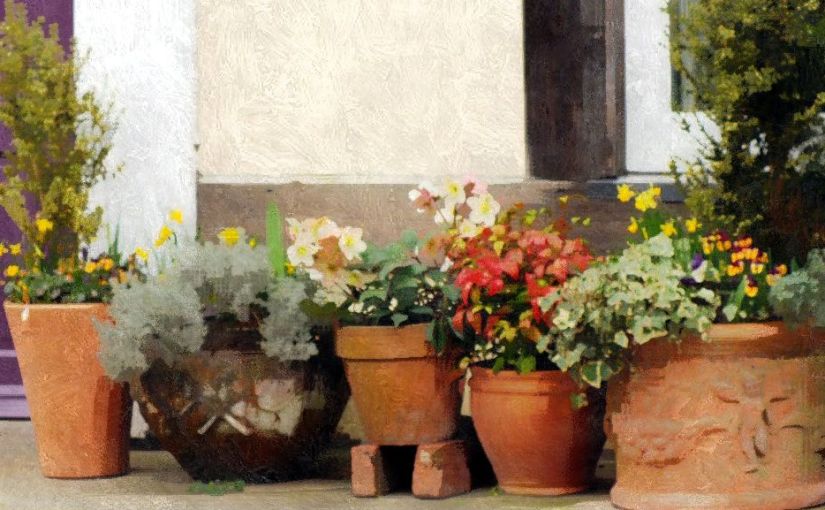 Monthly Photo Challenge: The Changing Seasons&nbsp;#3