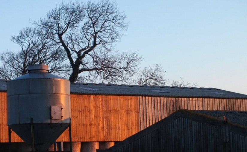 Early one morning…