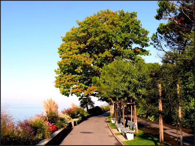 Montreux lakeside