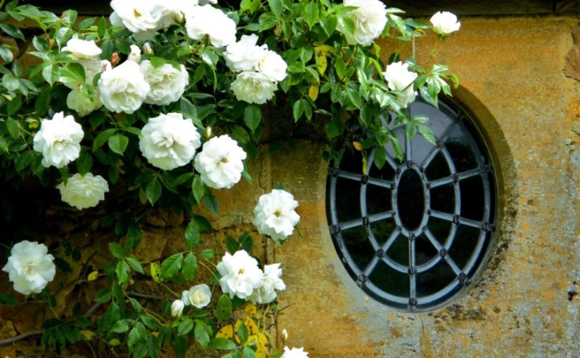 Happy St George’s&nbsp;Day