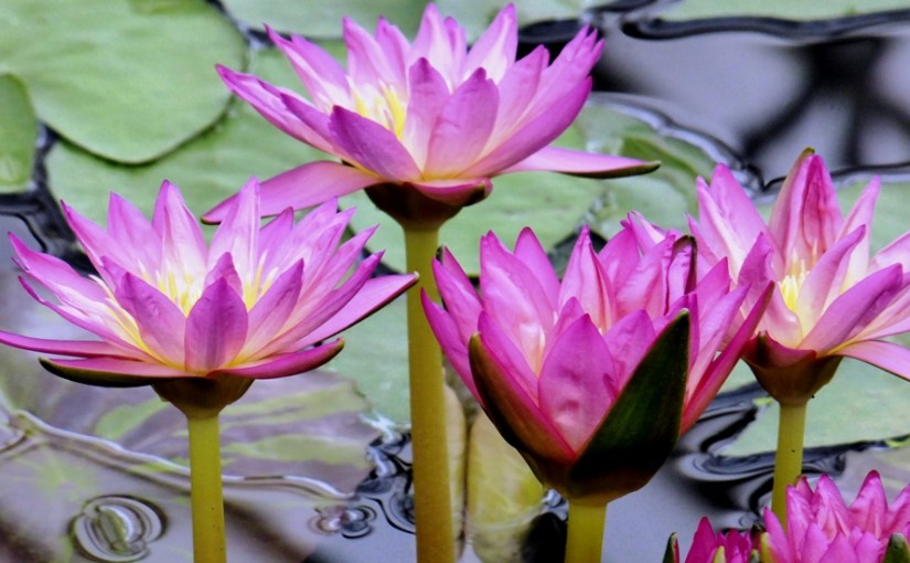 Not quite in the&nbsp;middle…