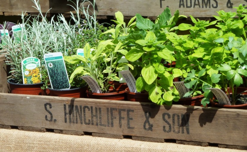 Nature Photo Challenge:&nbsp;edibles