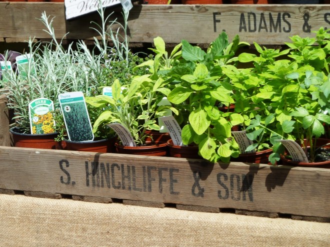 Herbs for sale