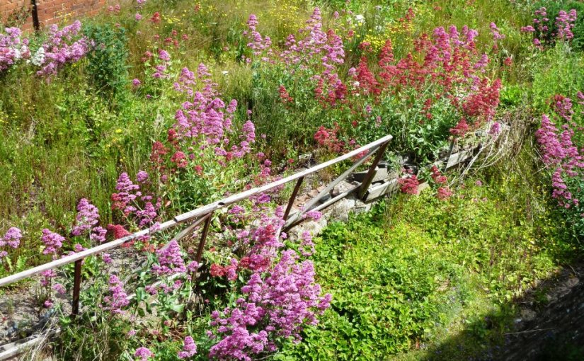 The difference a year&nbsp;makes…