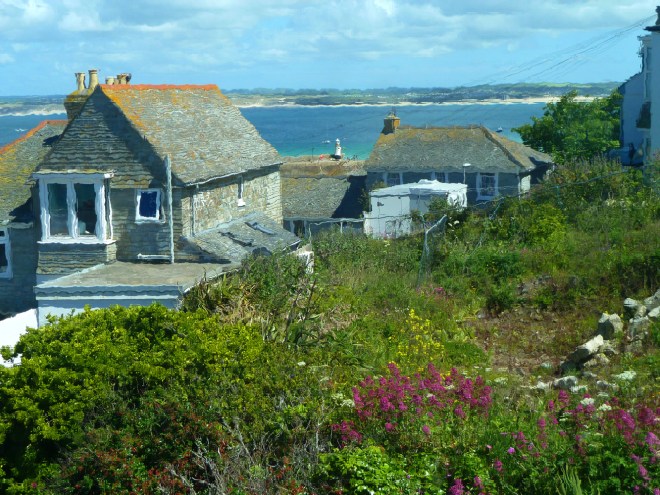 St Ives Bay and Wild flowers