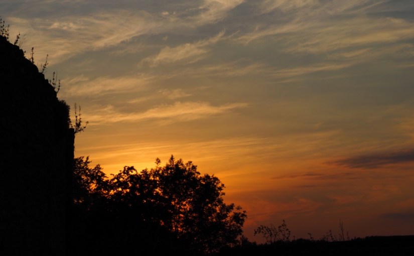 Monthly Photo Challenge: The Changing Seasons&nbsp;#8