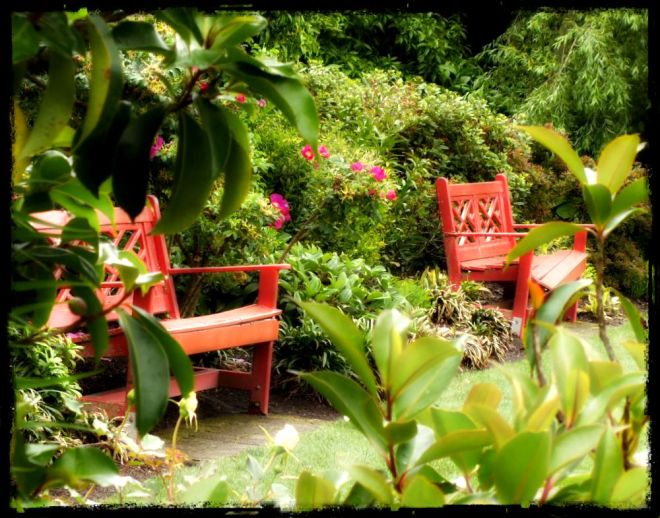 Chinoiserie benches in Hamilton Gardens, New Zealand