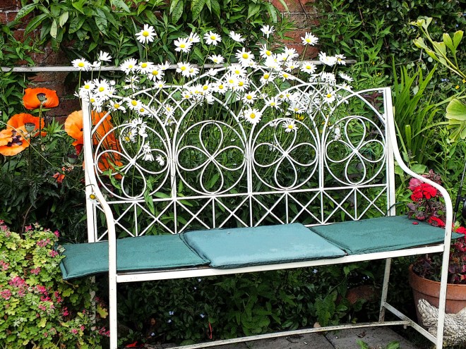 Daisy bench
